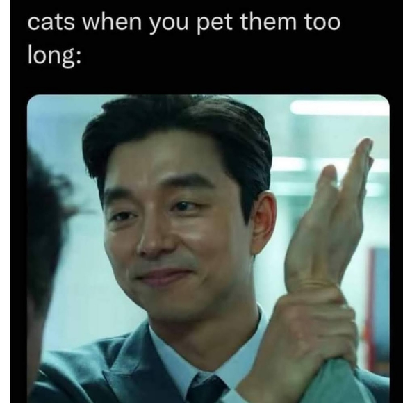 Meet your Posher, Tracy 🎀💃 - Picture 4 of 11